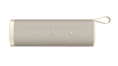 Xiaomi Sound Outdoor (30W) GOLD