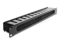 Delock 19  Cable Management Routing Pane