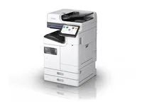 C11CL48401