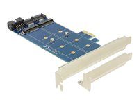 PCI Express Card > 2 x internal M.2 NGFF