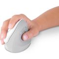 CONNECT IT Ergonomická myš FOR HEALTH wht