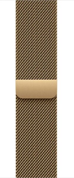 Watch Acc/40/Radiant Gold Milanese Loop