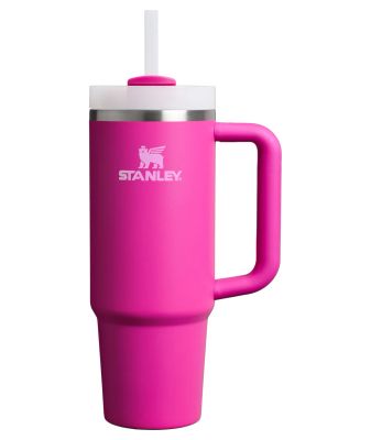 STANLEY The Quencher H2.0, Termohrnek, 0.89L, vio
