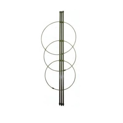 Opora pre rastliny STREND PRO FH-360 60cm/3 krúžky