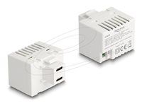 Keystone Module with 2 x USB Type-C Cha