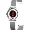 MAXCOM Fit FW42, Smart hodinky, stříbrné