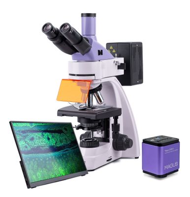 Fluorescenční digitální mikroskop MAGUS Lum D400 LCD