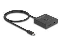 USB 10 Gbps USB Type-C Switch 2 to 1 bi