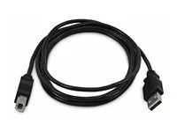 6ft 1.8m USB-A to B Cable TAA - SKUSBAB06-TAA