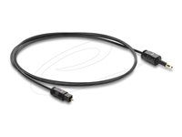 Delock - Digitální audio kabel (optický) - mini TOSLINK s piny (male) do TOSLINK se zdírkami (female) - 1 m - optické vlákno - cerná