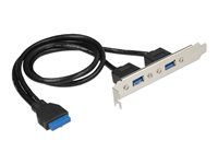 Panel USB - USB typ A (F) do 19 pin USB 3.0 header (F) - pro Delock Converter M.2