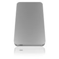 RAIDSONIC ICY Ext. box 2,5" HDD/SSD Type C 3.1Gen2