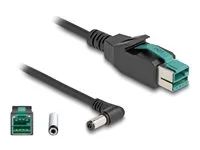 PoweredUSB cable male 12 V to DC 5.5 x 2