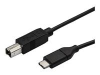 10 ft / 3m - USB C Printer Cable - USB C to USB B Cable - USB Type C to Type B (USB2CB3M) - USB kabel - USB-C (M) rovné do USB typ B (M) rovné - Thunderbolt 3 / USB 2.0 - 3 m - černá - pro P/N: SV231DHU34K6, SV231HU34K6, SV231QDPU34K, SV431HU34K6