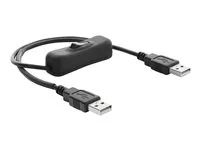 Delock - Kabel USB - USB (M) do USB (M) - 5 V - 0.5 A - 50 cm - spínac zapnutí/vypnutí - cerná