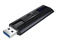 Jednotka USB flash - 256 GB - USB 3.2