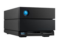 Pole pevných disků - 32 TB - 2 zásuvky (SATA-600) - HDD 16 TB x 2 - Thunderbolt 4, USB 3.2 Gen 2 (externí) - s 5 let Rescue Data Recovery Service Plan