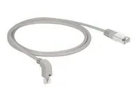 Patch kabel - RJ-45 (M) zahnutí dolů do RJ-45 (M) rovné - 1 m - S/FTP - CAT 6a - neobsahuje halogen - šedá