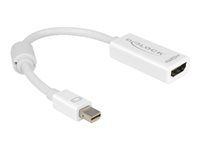 Kabel adaptéru - Mini DisplayPort s piny (male) do HDMI se zdířkami (female) - 18 cm