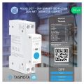 NOUS D2T, Tasmota DIN SMART Switch, spínač