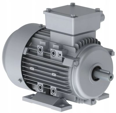 Elektromotor 1AML 100L2-8 1,1kW 750 ot/min