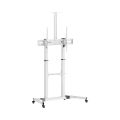 SBOX FS-3610-W, Podlahový stojan na TV, 60" - 100"