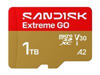 SanDisk Extreme Go - Pametová karta flash - 1 TB - A2 / Video Class V30 / UHS-I U3 - microSDHC UHS-I