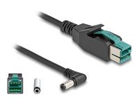 PoweredUSB cable male 12 V to DC 5.5 x 2