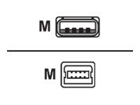 Cisco - Kabel USB - USB (M) do mini-USB typ B (M) - 1.83 m - pro P/N: IR829B-2LTE-EA-RK9, IR829B-LTE-EA-RK9, IR829M-2LTE-EA-RK9, IR829M-LTE-EA-RK9
