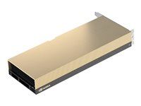 Grafický počítačový procesor - A30 - 24 GB HBM2 - PCIe 4.0 x16 - bez ventilátoru