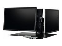 Upevňovací komponent (dvoukloubový) - pro 2 LCD displeje - černá - velikost obrazovky: až 25"