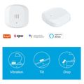 WOOX R7081, Smart Vibration Sensor ZigBee
