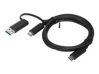 USB kabel - USB-C (M) do USB-C (M) - 20 V - 5 A - 1 m - černá - pro ThinkPad T16 Gen 4 21QN