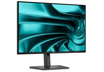 Dell Pro P/P2426E/24"/IPS/FHD/100Hz/5ms/Černá/3RNBD