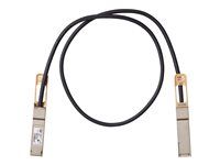 Kabel pro přímé připojení - QSFP do QSFP - 2 m - diaxiální - pasivní - pro Mellanox ConnectX-5 Ex EN; Nexus 93108TC-EX, 93180YC-FX, 9336C-FX2