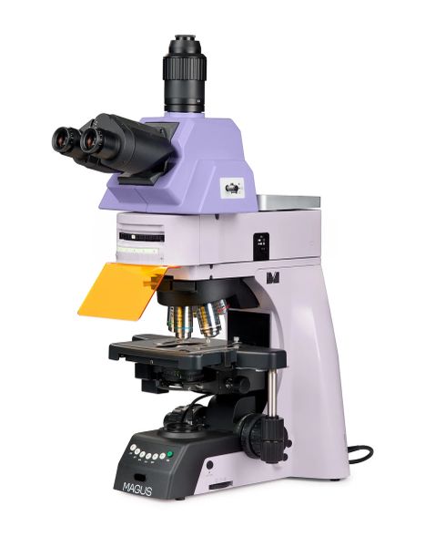 Fluorescenční mikroskop MAGUS Lum 490L