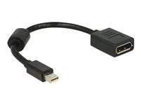 Adaptér DisplayPort - DisplayPort (F) do Mini DisplayPort (M) - 21 cm - černá