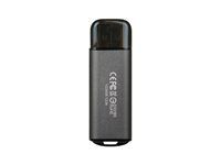 Jednotka USB flash - 128 GB - USB 3.2 Gen 1 - šedá space gray