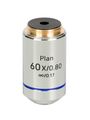 Objektiv MAGUS 60PL Plan 60х/0,80 ∞/0,17