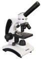 (CZ) Mikroskop Levenhuk Discovery Pico