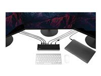 100W PD Laptop Dock (DK30CH2DEPUE) - Dokovací stanice - USB-C - HDMI, DP - 1GbE - 100 Watt - kompatibilní s TAA - Velká Británie, Evropa