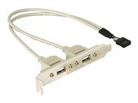 Panel USB - USB záhlaví 10 pinů (M) do USB (F) - 30 cm