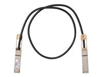 Kabel pro přímé připojení - QSFP do QSFP - 1 m - diaxiální - pasivní - pro Mellanox ConnectX-5 Ex EN; Nexus 93108TC-EX, 93180YC-FX, 9336C-FX2