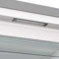 GORENJE FN619EAXL6  Skříňová mraznička