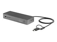 Hybrid USB Type-C Dock (DK30C2DPEPUE) - Dokovací stanice - USB-C - 2 x HDMI, 2 x DP - 1GbE - 170 watt - Velká Británie, Evropa