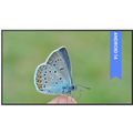 BENQ ST4304 Smart Signage, LED Panel 4K UHD 43"