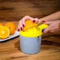 Lis na citrusy TEESA TSA0173