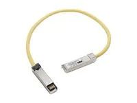 Patch kabel - SFP (M) do SFP (M) - 50 cm - pro Catalyst 3560, 3560E, 3560G, 3560V2, 3560X