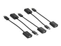 StarTech 5-Pack DisplayPort to VGA Adapter, DisplayPort 1.2 HBR2 to VGA Active Adapter, Digital DP to Analog VGA Video Converter Dongle, DisplayPort Male to VGA Female Monitor Adapter - Active DP 1.2 to VGA (DP2VGA3X5) - Video adaptér - DisplayPort (M) do HD-15 (VGA) (F) - DisplayPort 1.2 - 10 cm - podpora 1080p, aktivní - cerná (balení 5)