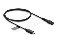 Delock - Elektrický kabel - USB-C (M) do 2 piny (M) - 5 V - 1 A - 1.2 m - cerná